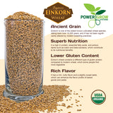 Einkorn Wheat - 100% Organic Einkorn Whole Grain Wheat